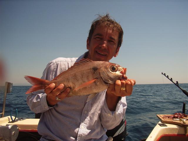 (Pagellus Valenciennes, 1830) Род Пагеллусы, Пагеллюсы, Пагеллы, Пагели